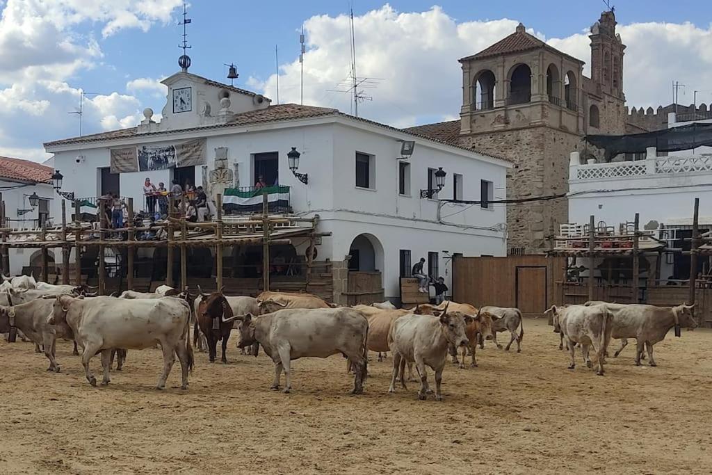 הוילה Segura de León El Zarzal De Segura מראה חיצוני תמונה